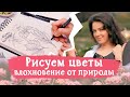 Как рисовать цветы лайнерами. Пошагово для начинащих.