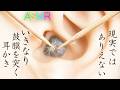 【ASMR】いきなり鼓膜だけを突き擦り続ける耳かきの音👂ピンピン爪楊枝から始める15個の眠れる音フェチ詰め合わせ😪濃縮されたゾクゾクする1分動画🎧両耳同時の高音圧😴 #shortsまとめ🤤【音好き】 thumbnail