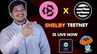 Potential Testnet - Shelby Testnet Build On Aptos - Testnet Airdrop Guide 2026