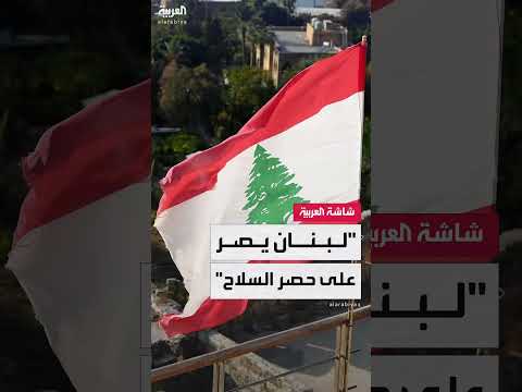 غنوة يتيم: إصرار لبناني على سلطة الدولة وحصر السلاح
