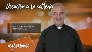Vocación a la soltería - Padre Ángel Espinosa de los Monteros