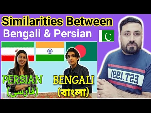 Pakistani Reaction ON | Similarities Between Bengali and Persian
