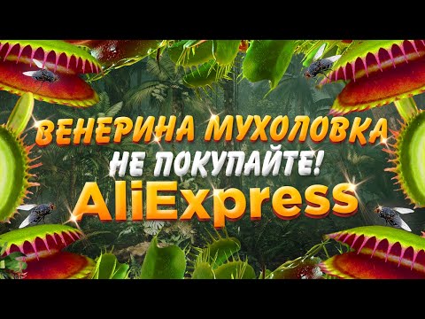 Видео: Как да купувате умно на Aliexpress