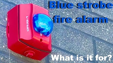 What are blue fire alarm strobes for? Explanation video.