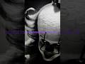 IT Episode 7! Upcoming Surprises! #youtubeshorts #hbomax #welcometoderry #horror