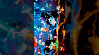 Sant Dinda Mariyam Se Yeshu Janam Liya Christmas Jesus Song christmas jesus carol