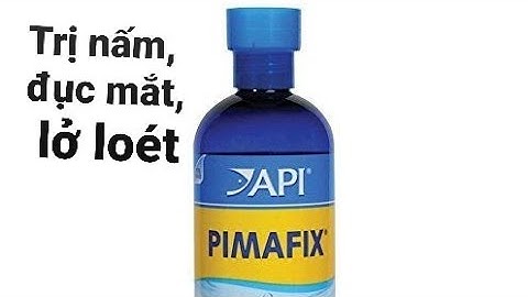 Pimafix: Thần dược trị nấm, nấm mắt, phấn trắng