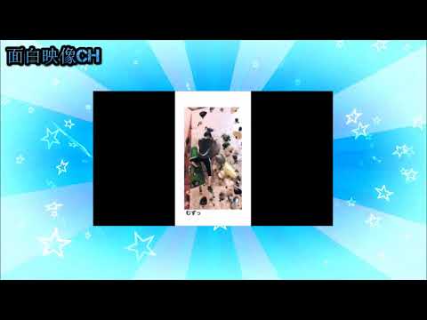 インスタ面白仲良し動画【白濱亜嵐 片寄涼太 数原龍友 小森隼 佐野玲於 関口メンディー 中務裕太】
