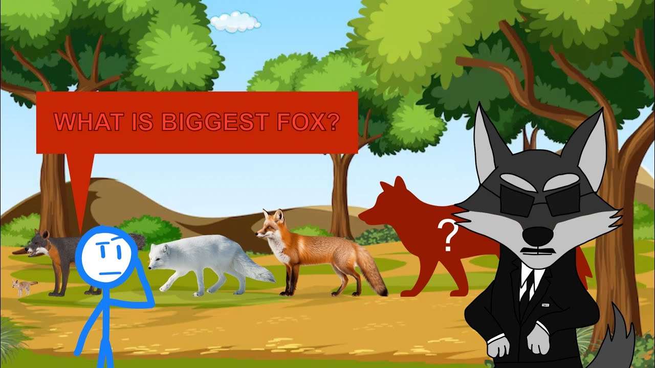Fox Size Comparison (New Year’s Eve 2025!)