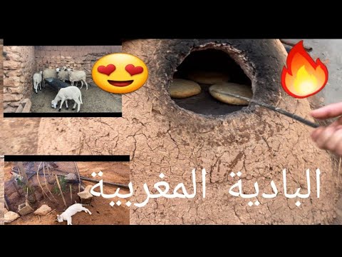 الحياة في البادية المغرببة البساطة والجمال والهواء النقي