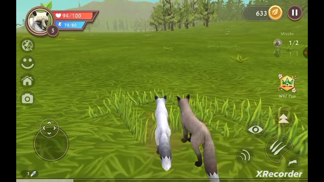 19 de fevereiro de 2026