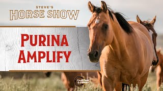 Equine Product Review: Purina Amplify screenshot 2