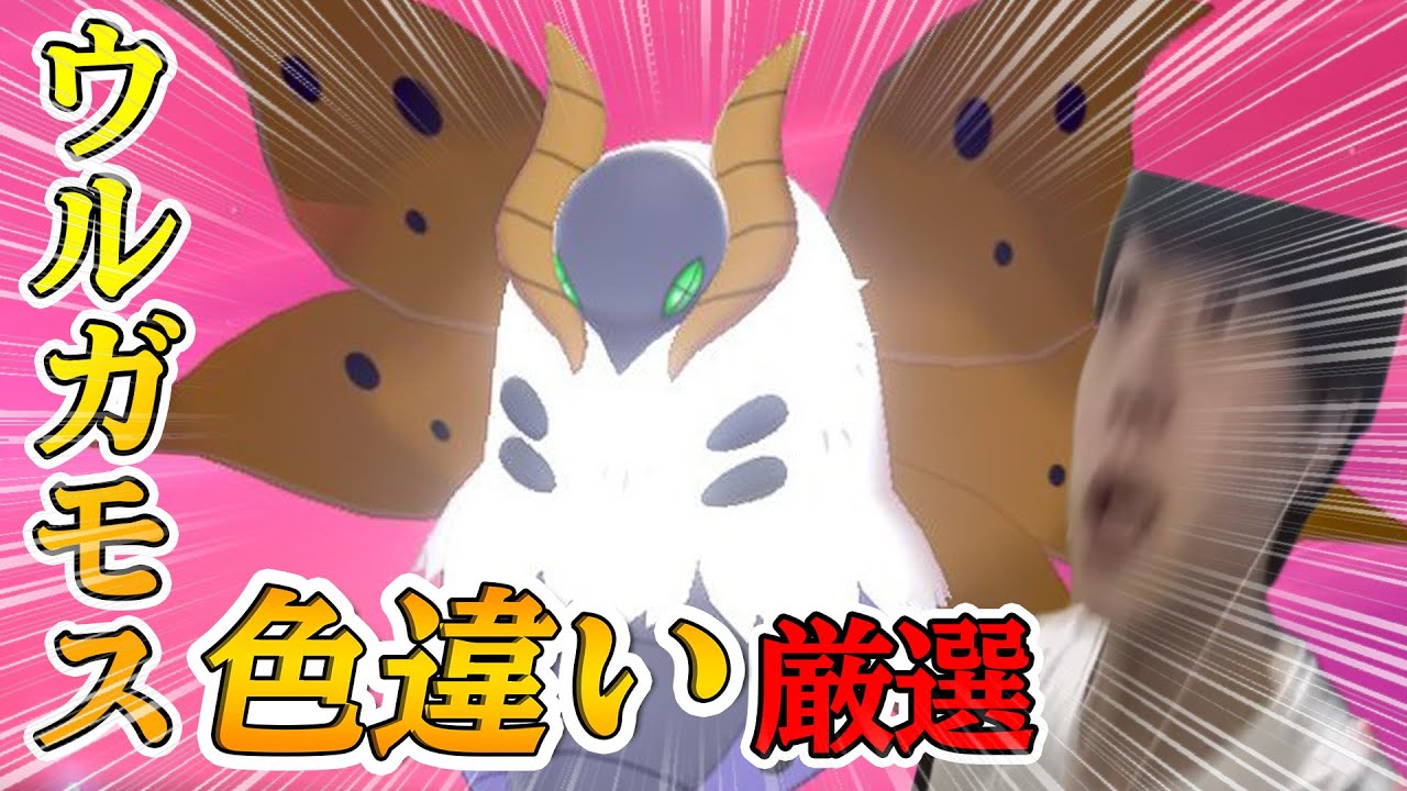 色違いウルガモス メラルバ 厳選 雑談 しろーん ポケモン剣盾 しろーん Youtube