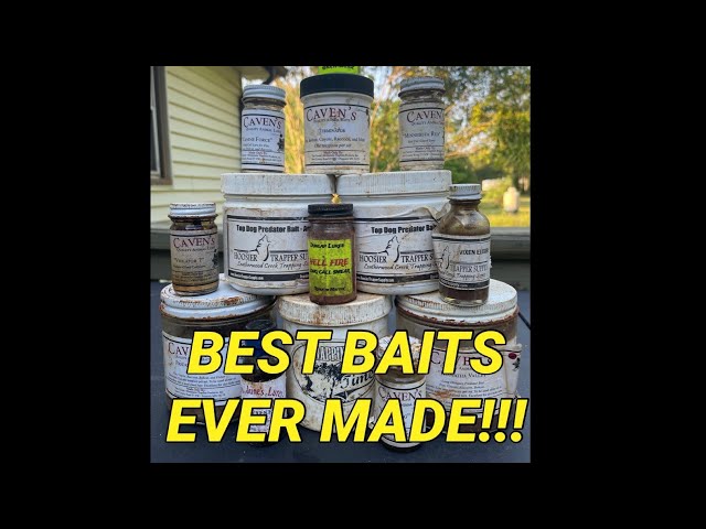 BEST BAITS AND LURES FOR TRAPPING COYOTES AND FOXES!!! 