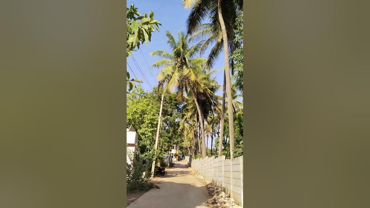 2 AKARI LAND FOR SALE Hubballi CALL 9945024417. 9538349415(2) YouTube