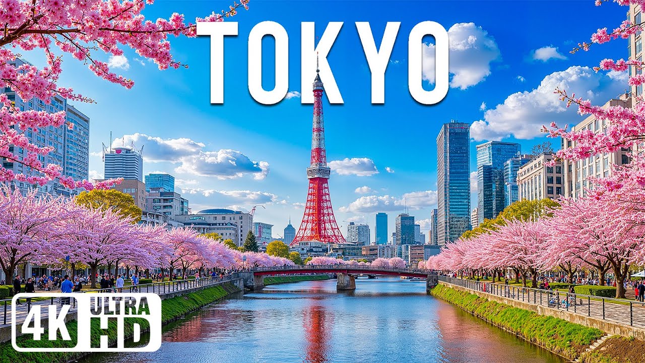 Tokyo 4K | Discover Urban Sakura Serenity – Cherry Blossoms, City Parks & Quiet Temple Paths 🌸