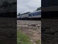 Amtrak (3 Locomotives) Piedmont NC [Short Video] #railfanning #trainspotting #shortsvideo