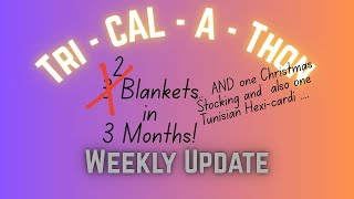 Week 4 TRI-CAL-A-THON Update #knitting #crochet #christmasstocking #blanketcrochet
