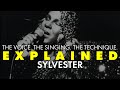 EXPLAINED || Sylvester