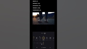 color grading tutorial in VN video editor