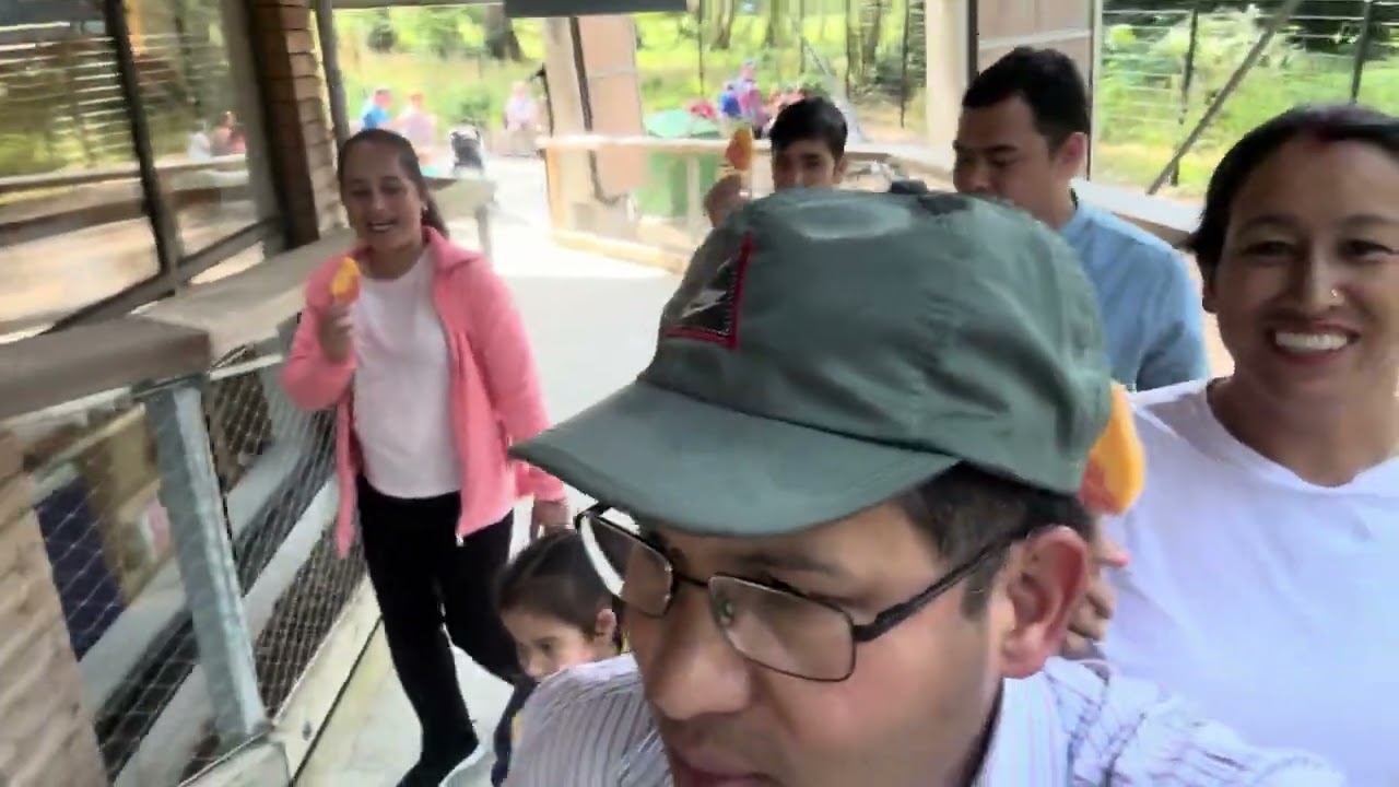 Tree 🌲 walk Wicklow Dublin Ireland 🇮🇪 🌲🙏🏼