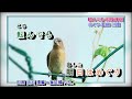 涙はいらない 石嶺聡子 字義版