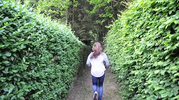CLIP_AVAAPII_2014_15_Tom_Dils