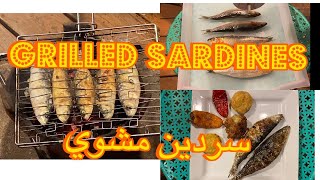 street food / Fresh Charcoal Grilled Moroccan Sardines / mediterranean food