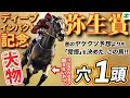 弥生賞 2025【穴馬/予想】「えっ！？こんなに強いの！？」覚悟を決めた「☆あの馬」の激走を目撃せよ！