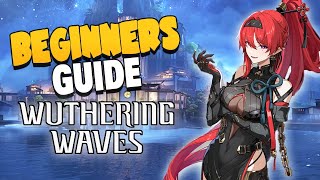Wuthering Waves BEGINNERS GUIDE!!
