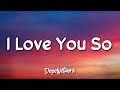 Maher Zain - I Love You So (Lyrics)