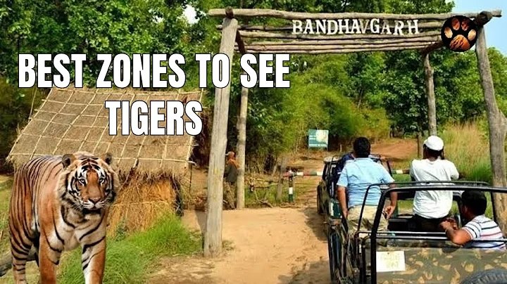 Best Zones in Bandhavgarh National Park for Tiger Sighting | Full Information for Jungle Safari - DayDayNews