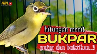 Download Lagu CIAK CIAK JOSS KECIAL KUNING AMPUH||PANCINGAN KECIAL MALAS BUNYI|| MP3 Download Lagu CIAK CIAK JOSS KECIAL KUNING AMPUH||PANCINGAN KECIAL MALAS BUNYI|| MP3