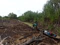 Portaging canoes through most challenging peat swamp conditions in Sumatra-Sunda gharial surveys