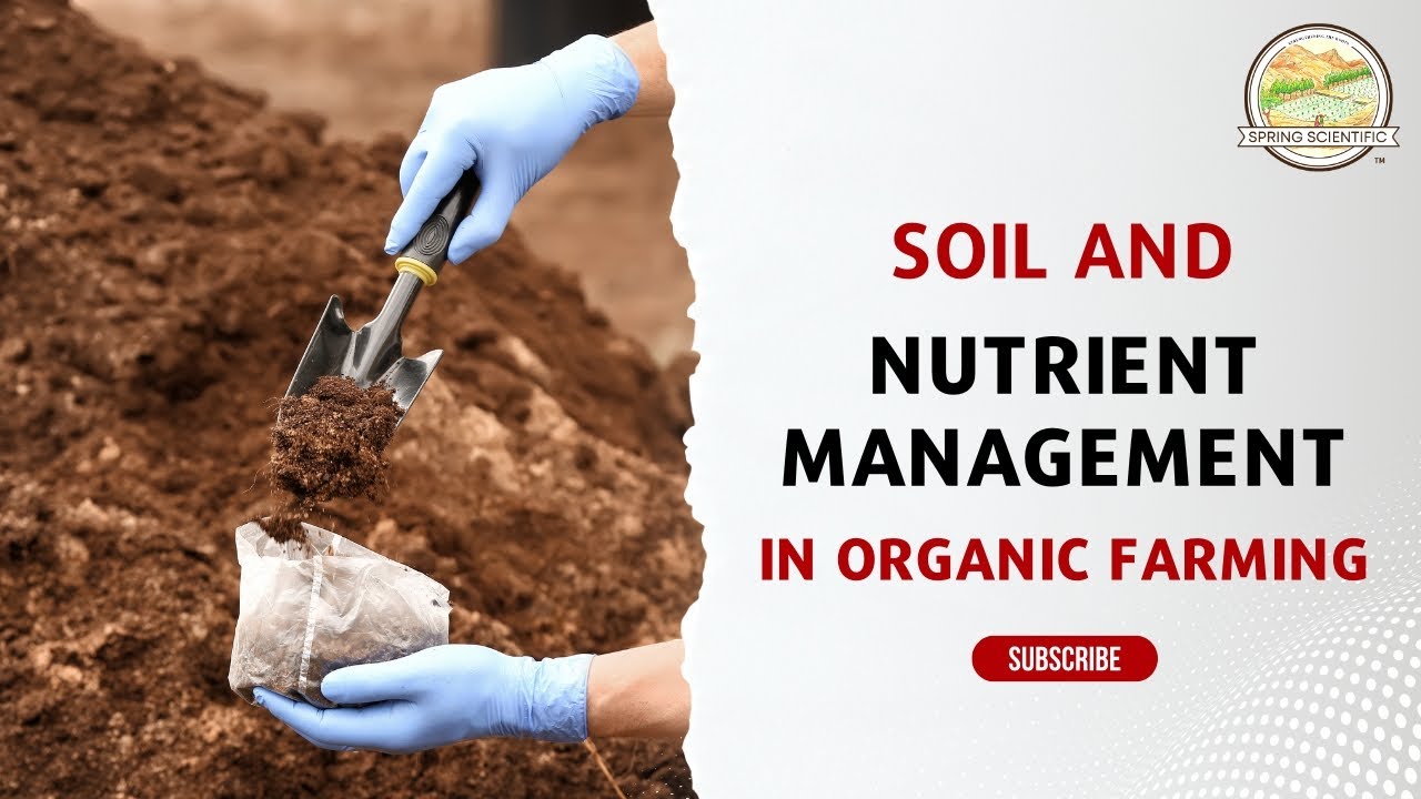 Soil & Nutrient Management in Organic Farming 🌱 | Boost Soil Health Naturally | Spring Scientific
