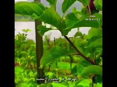منا ظر طبيعيا صل على النبي صلى الله عليه وسلم