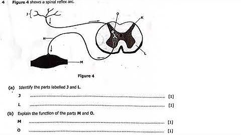 2024 GCE BIOLOGIE ARTIKEL 2