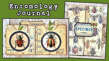 🪲 Entomology Journal (pt.1): lapbook & insert construction 