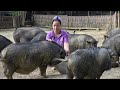 Fresh Bananas and a Busy Market - Ending the Day Peacefully with the Animals | Lý Thị Ca