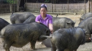 Fresh Bananas and a Busy Market - Ending the Day Peacefully with the Animals | Lý Thị Ca