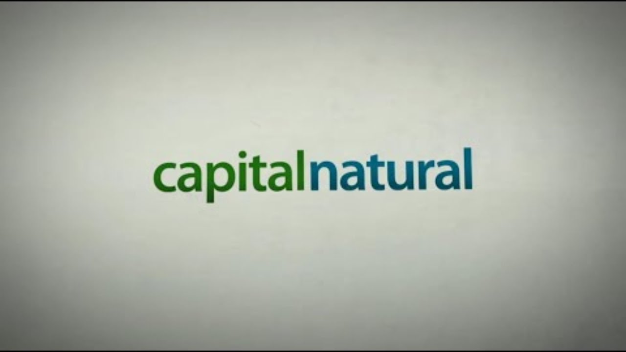 Capital Natural – Bioma Pampa gaúcho | Parte 4