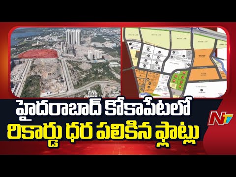 Hyderabad : రికార్డు స్థాయి ధర పలికిన కోకాపేట భూములు..ఎకరం భూమి రూ.137 కోట్లు! | NTV Telugu - NTVTELUGU