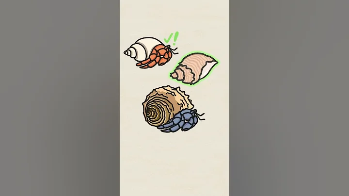 Size Matters for Hermit Crabs! #shorts - DayDayNews