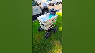 Serve Robotics self-driving delivery #future #robot 🤖 