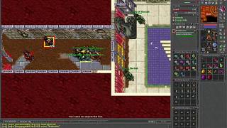 Tibia Amera - Bruhninha 117 RP