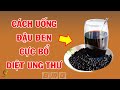 Uống Nước Đậu Đen Theo Cách Này Cực Tốt Cho Sức Khỏe, Ít AI Ngờ