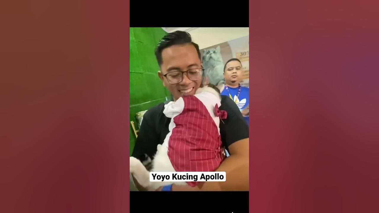 Kucing Viral : Yoyo | Kucing Apollo Kucing Viral : Yoyo | Kucing Apollo