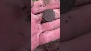 a fantastic find #metaldetecting #detectingfinds #shortsfeed #oldcoin #trending #shortvideo