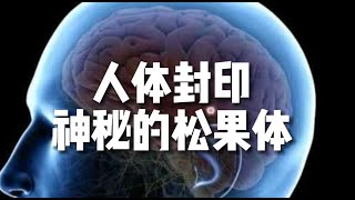 人体封印 松果体 神性灵魂根性小宇宙儿的修行频道