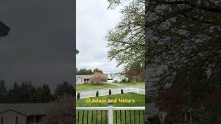 Outdoors and Nature #backyardprojects #diy #beginnergardening #garden  #shorts